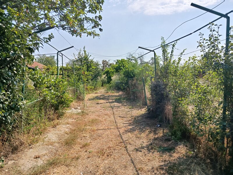 Ciurari Sat, comuna Saceni, Teleorman